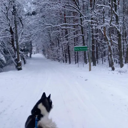 Zacisze Prázdninový dům